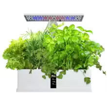 Smart Garden Hydroponics Growing System